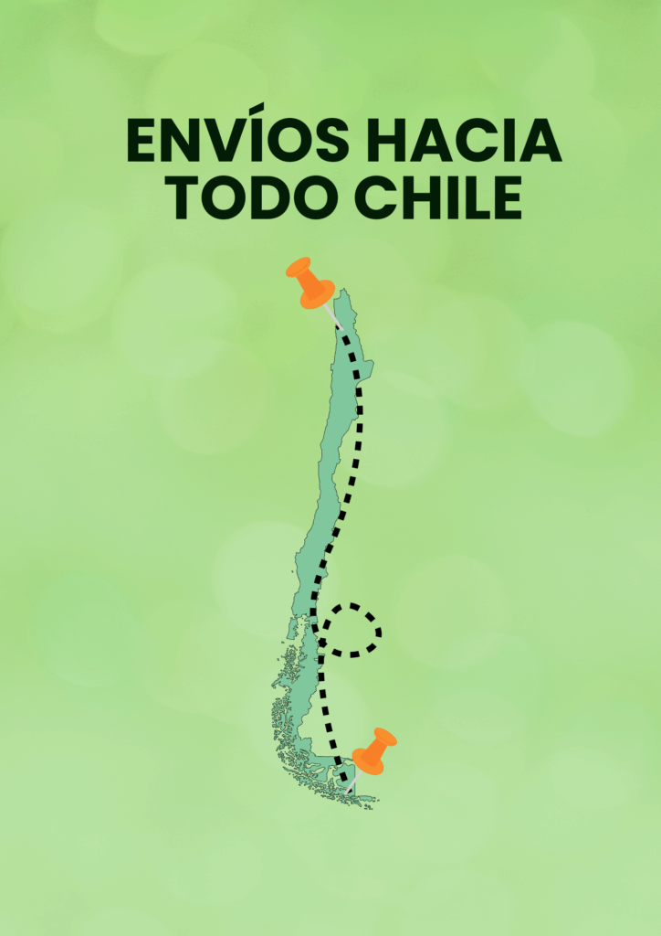 Portada de envíos a todo chile