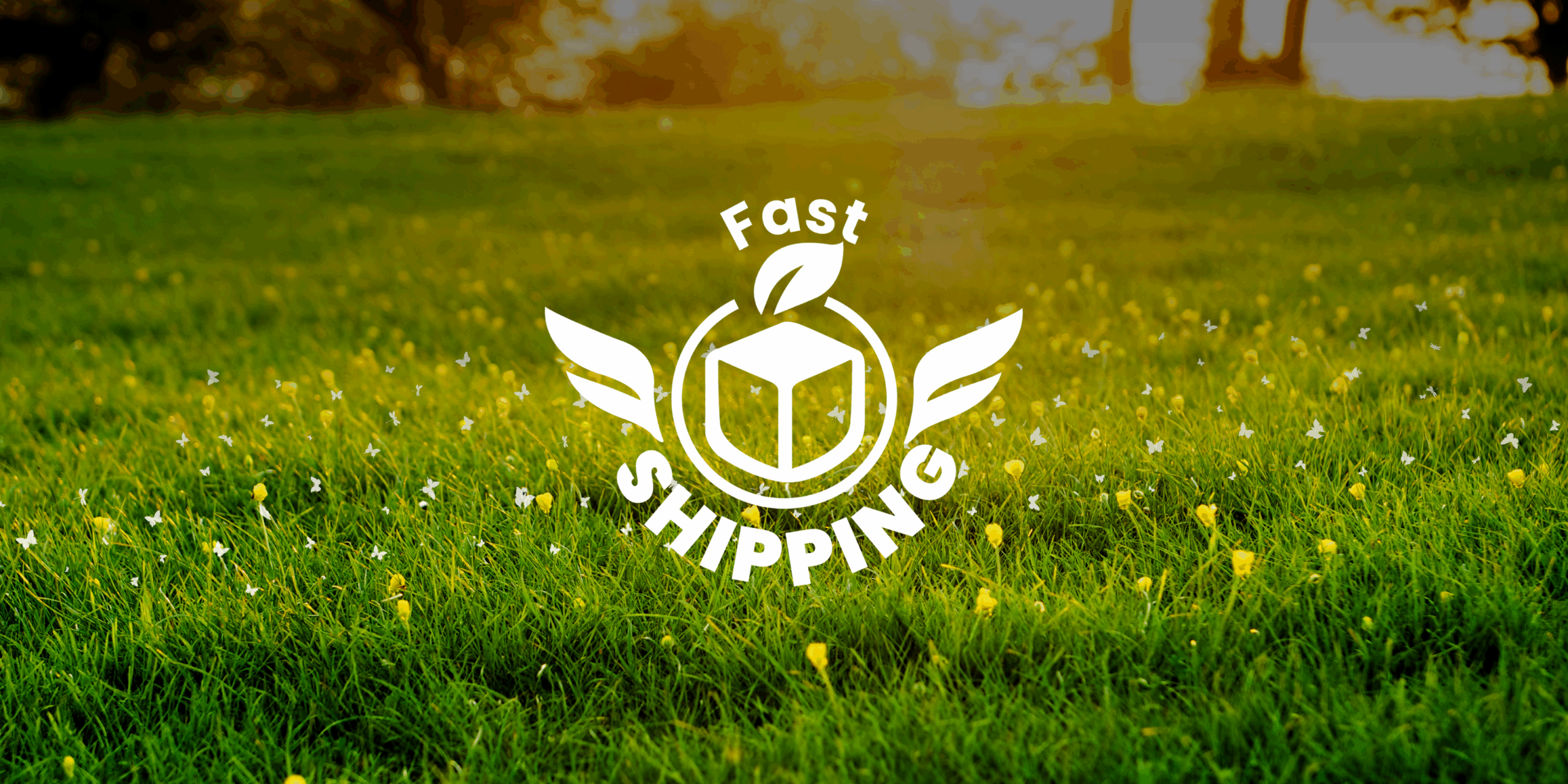 logo de fast shipping sobre naturaleza